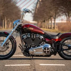 Thunderbike Kupplungsdeckel Cross 6